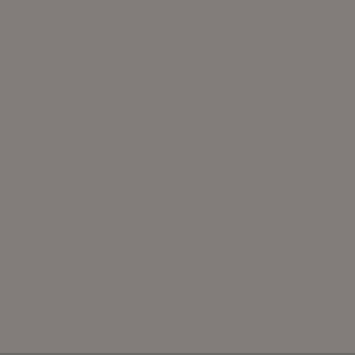 Liquid Rubber Waterproofing and Protective Coating - 1 Gallon, Gray