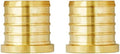 SUNGATOR 2-Pack 1 Inch PEX Plug End Cap Fittings