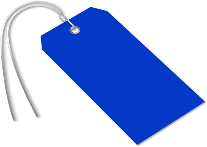 SmartSign Blue Plastic Tags with Pre-Attached Wires - 100-Pack, 4.75" x 2.375", Size#5, 10 mil Thick Tear-Proof Polylith Plastic Tags with Metal Eyelet, Writable Blank Tags for Shipping, Labeling