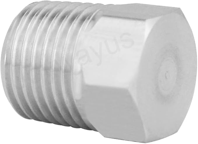 Joywayus 5Pcs Stainless Steel Outer Hex Thread Socket Pipe Plug Fitting 1/8" NPT Male