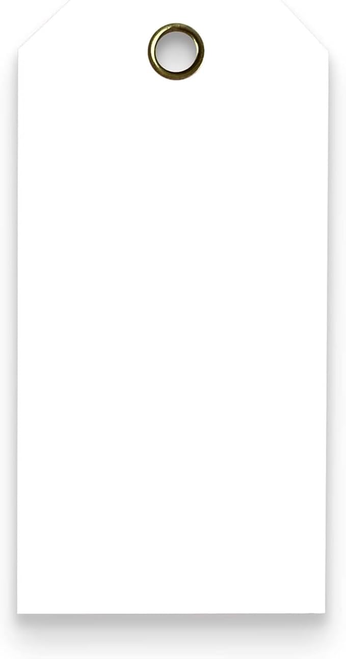 Tags 4 Less 15 Mil Waterproof Plastic Tags, Pack of 100 – 4” x 8” Heavy Duty Plastic Tags for Labeling, Outdoor Tagging, Equipment Labeling, Luggage, Valves & More (White)