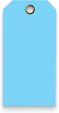 Tags 4 Less 15 Mil Waterproof Plastic Tags, Pack of 100 – 4” x 8” Heavy Duty Plastic Tags for Labeling, Outdoor Tagging, Equipment Labeling, Luggage, Valves & More (Light Blue)