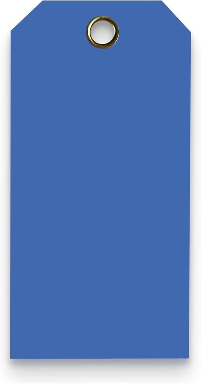Tags 4 Less 15 Mil Waterproof Plastic Tags, Pack of 100 – 4” x 8” Heavy Duty Plastic Tags for Labeling, Outdoor Tagging, Equipment Labeling, Luggage, Valves & More (Dark Blue)