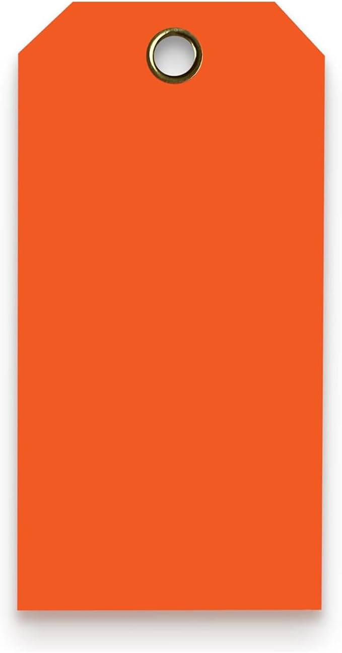 Tags 4 Less 15 Mil Waterproof Plastic Tags, Pack of 100 – 4” x 8” Heavy Duty Plastic Tags for Labeling, Outdoor Tagging, Equipment Labeling, Luggage, Valves & More (Orange)