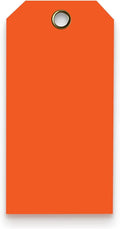 Tags 4 Less 15 Mil Waterproof Plastic Tags, Pack of 100 – 4” x 8” Heavy Duty Plastic Tags for Labeling, Outdoor Tagging, Equipment Labeling, Luggage, Valves & More (Orange)