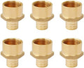 SUNGATOR 6-Pack 1" PEX to 1" Female NPT Adapter Fittings