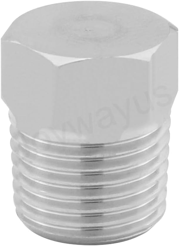 Joywayus 5Pcs Stainless Steel Outer Hex Thread Socket Pipe Plug Fitting 1/8" NPT Male