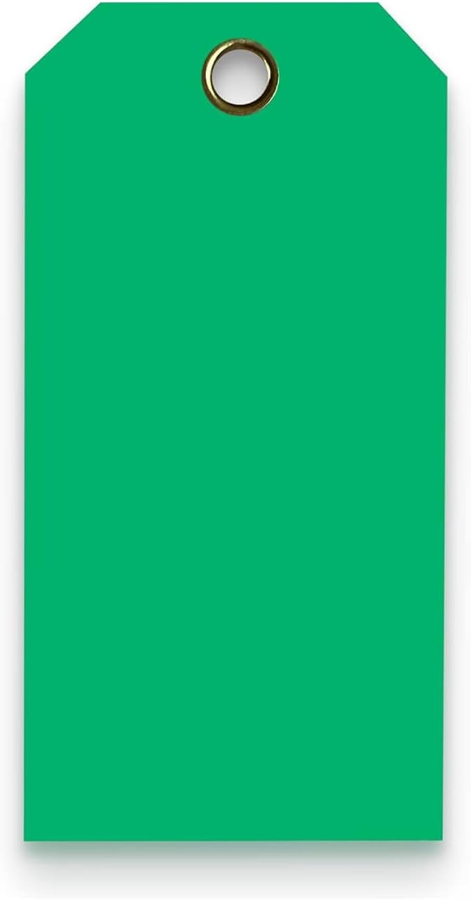 Tags 4 Less 15 Mil Waterproof Plastic Tags, Pack of 100 – 2” x 4” Heavy Duty Plastic Tags for Labeling, Outdoor Tagging, Equipment Labeling, Luggage, Valves & More (Dark Green)