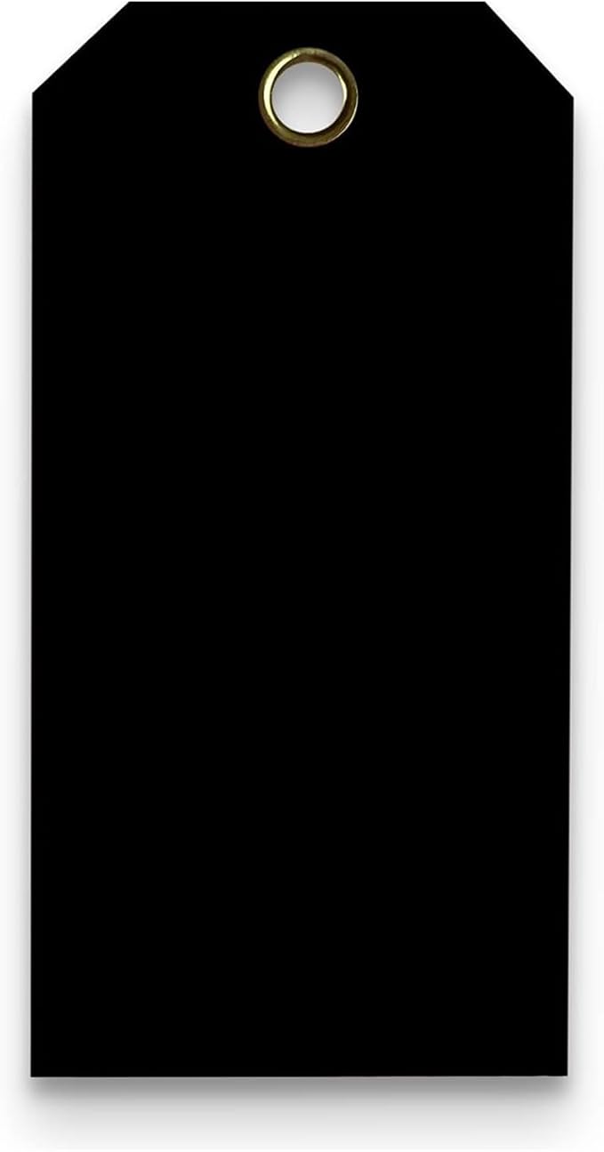 Tags 4 Less 15 Mil Waterproof Plastic Tags, Pack of 100 – 4” x 8” Heavy Duty Plastic Tags for Labeling, Outdoor Tagging, Equipment Labeling, Luggage, Valves & More (Black)