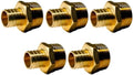 5 Pack XFITTING 1 inch Pex x 1 inch Male NPT Adapter, 1" Pex Male Adapter