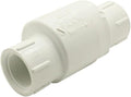 Replacement 1 Inch Threaded Spring Check Valve for Thrifco Plumbing 6415182