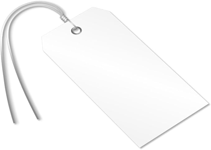 SmartSign White Plastic Tags with Pre-Attached Wires - 100-Pack, 4.75" x 2.375", Size#5, 10 mil Thick Tear-Proof Polylith Plastic Tags with Metal Eyelet, Writable Blank Tags for Shipping, Labeling