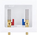 Washing Machine Outlet Box Expansion PEX-A with Stainless Steel Hammer Arrestors, Inlet 1/2 inch PEX-A F1960 Expansion Barb x Outlet 3/4 inch Male Thread LI-XYJH-631