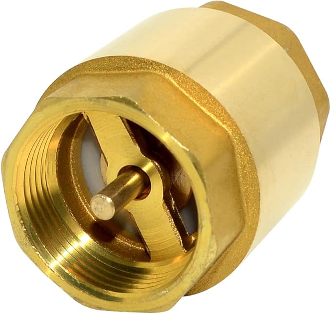 DAN SPEED Brass Check Valve,Female Thread Spring Check Valve,One Way Horizontal Check Valves for Backflow Prevention,Well, Pump, Tank ((DN32) 1-1/4'')
