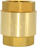 DAN SPEED Brass Check Valve,Female Thread Spring Check Valve,One Way Horizontal Check Valves for Backflow Prevention,Well, Pump, Tank ((DN32) 1-1/4'')
