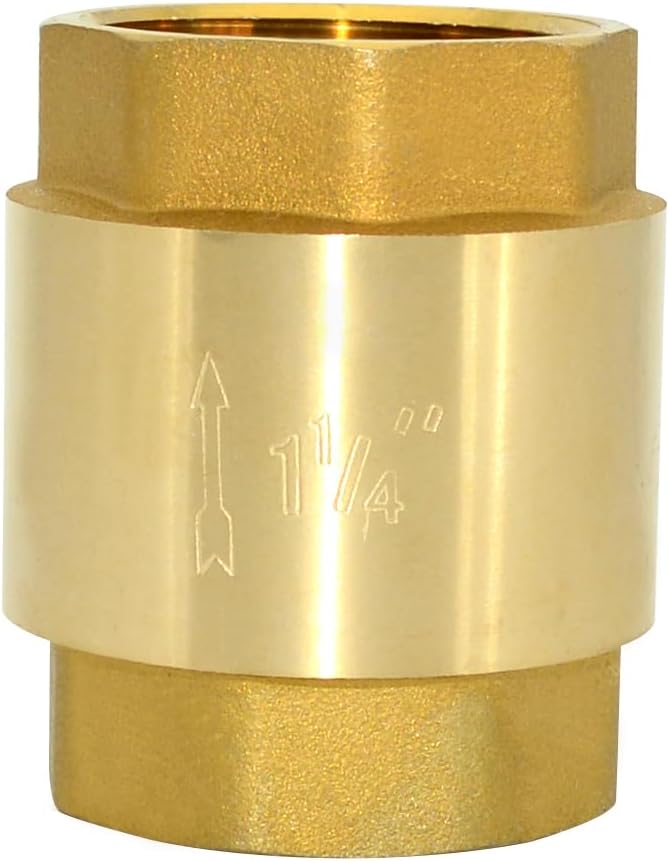 DAN SPEED Brass Check Valve,Female Thread Spring Check Valve,One Way Horizontal Check Valves for Backflow Prevention,Well, Pump, Tank ((DN32) 1-1/4'')