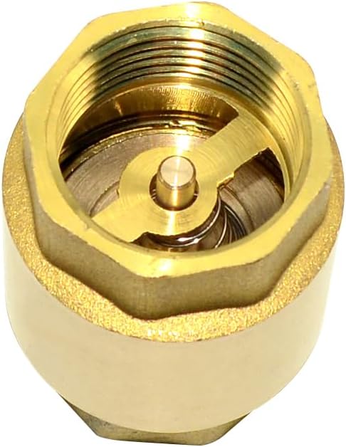 DAN SPEED Brass Check Valve,Female Thread Spring Check Valve,One Way Horizontal Check Valves for Backflow Prevention,Well, Pump, Tank ((DN20) 3/4'')