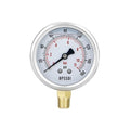 0-160 Psi Lead-Free Glycerin Liquid Filled Low Pressure Gauge, 2.5" Dial Size, 1/4" NPT Lower Mount, 304 Stainless Steel Case, for Water Pipe, HVAC, Water Oil Air Pressure Test