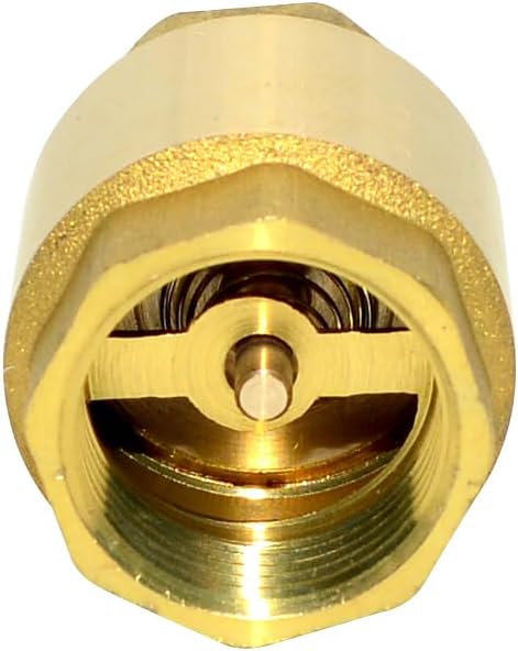 DAN SPEED Brass Check Valve,Female Thread Spring Check Valve,One Way Horizontal Check Valves for Backflow Prevention,Well, Pump, Tank ((DN20) 3/4'')