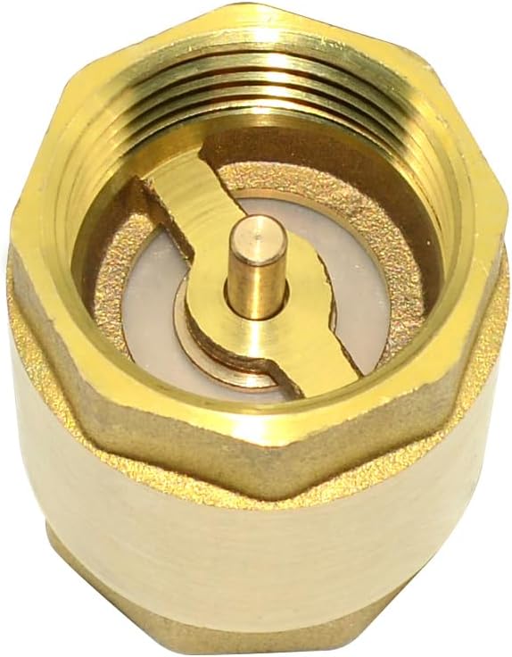 DAN SPEED Brass Check Valve,Female Thread Spring Check Valve,One Way Horizontal Check Valves for Backflow Prevention,Well, Pump, Tank ((DN25) 1'')
