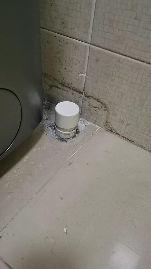 PVC Pipe End Cap Fitting Furniture Grade PVC Pipe End Cap Plug Adapter (4 inch (1 Pack))