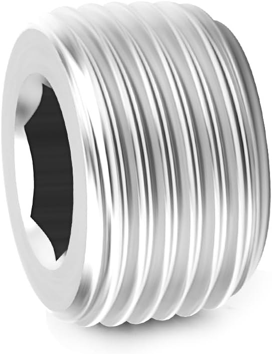 10PCS 304 Stainless Steel Internal Hex Thread Socket Pipe Plug Fitting, 1/8" NPT Male, for Fuel/Airl/Water/Gas/Oil