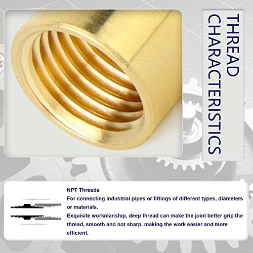 ChillWaves Brass Pipe Fitting, Hex Coupling 1/2" NPT Female x 1/2" NPT Female Thread Adapter(6-PACK)