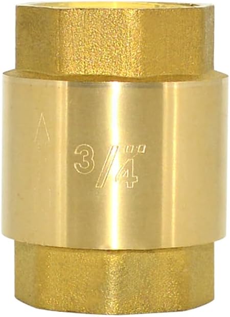 DAN SPEED Brass Check Valve,Female Thread Spring Check Valve,One Way Horizontal Check Valves for Backflow Prevention,Well, Pump, Tank ((DN20) 3/4'')