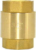 DAN SPEED Brass Check Valve,Female Thread Spring Check Valve,One Way Horizontal Check Valves for Backflow Prevention,Well, Pump, Tank ((DN20) 3/4'')