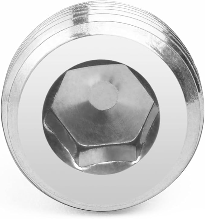 ChillWaves 304 stainless steel Pipe Fitting, Internal Hex Head Socket Pipe Plug Fitting，1/4" NPT Male，Thread Adapter(12-PACK)