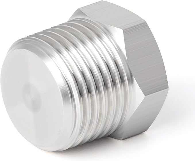 TAISHER 2PCS Stainless Steel Outer Hex Thread Socket Pipe Plug Fitting 3/4" NPT Male