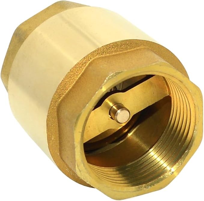 DAN SPEED Brass Check Valve,Female Thread Spring Check Valve,One Way Horizontal Check Valves for Backflow Prevention,Well, Pump, Tank ((DN32) 1-1/4'')