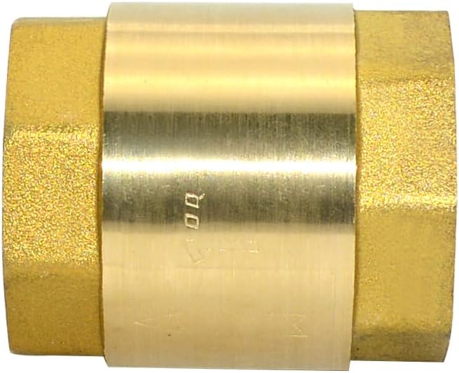 DAN SPEED Brass Check Valve,Female Thread Spring Check Valve,One Way Horizontal Check Valves for Backflow Prevention,Well, Pump, Tank ((DN25) 1'')