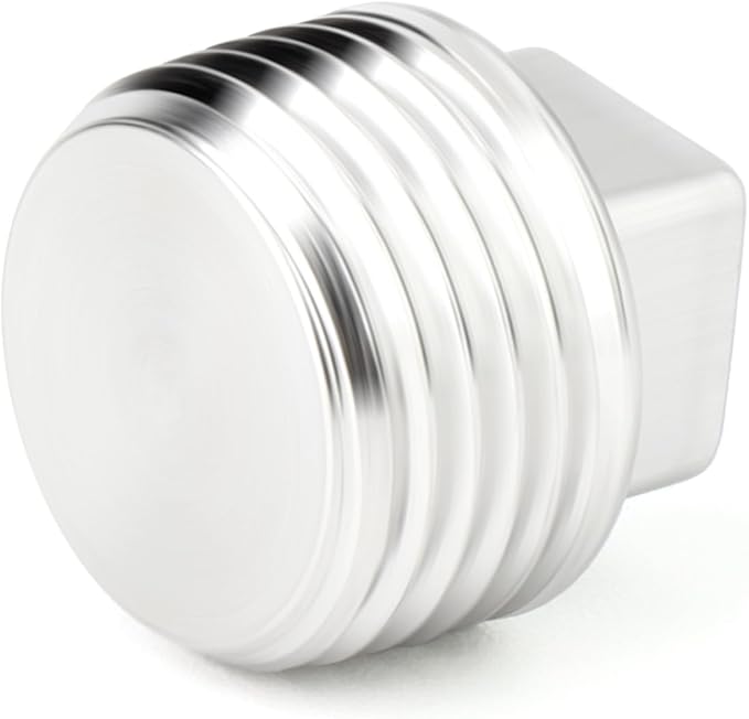 TAISHER 10PCS 304 Stainless Steel Outer Square Thread Socket Pipe Plug Fitting 1/4" NPT Male