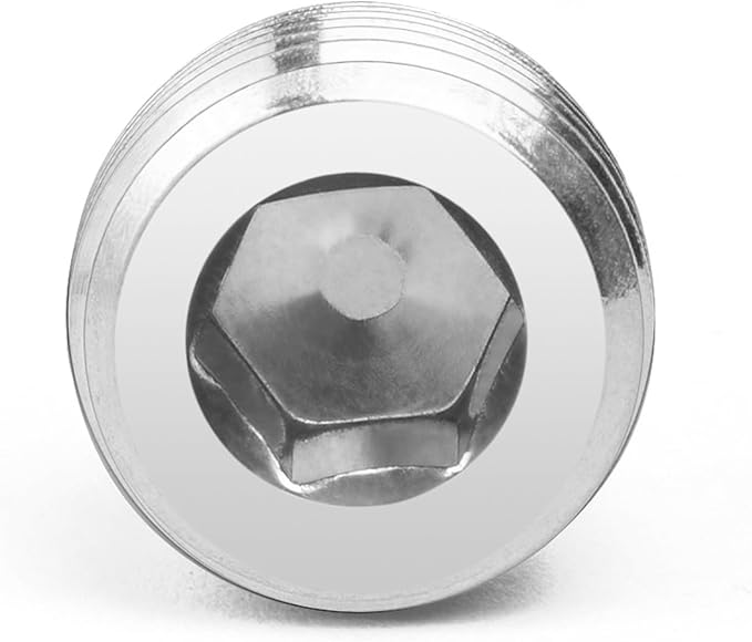 ChillWaves 304 stainless steel Pipe Fitting, Internal Hex Head Socket Pipe Plug Fitting，1/8" NPT Male，Thread Adapter(12-PACK)