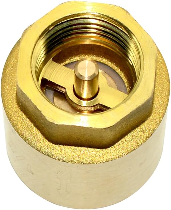 DAN SPEED Brass Check Valve,Female Thread Spring Check Valve,One Way Horizontal Check Valves for Backflow Prevention,Well, Pump, Tank ((DN15) 1/2'')