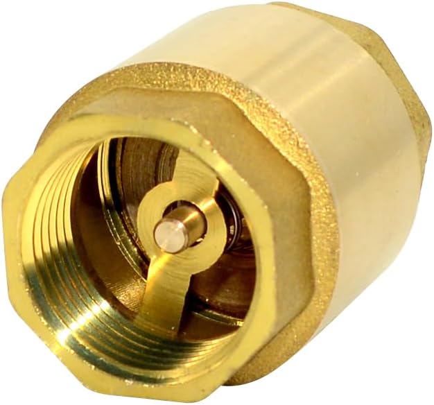 DAN SPEED Brass Check Valve,Female Thread Spring Check Valve,One Way Horizontal Check Valves for Backflow Prevention,Well, Pump, Tank ((DN20) 3/4'')