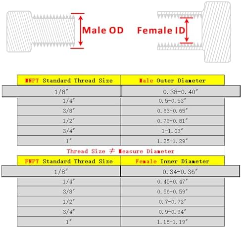 Forged Reducer Adapter Fitting - Stainless Steel 304 Reducing Pipe Connector, 1/8" NPT Female x 1/8" NPT Male (pack of 2)