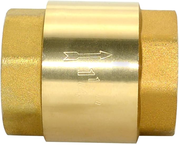 DAN SPEED Brass Check Valve,Female Thread Spring Check Valve,One Way Horizontal Check Valves for Backflow Prevention,Well, Pump, Tank ((DN32) 1-1/4'')