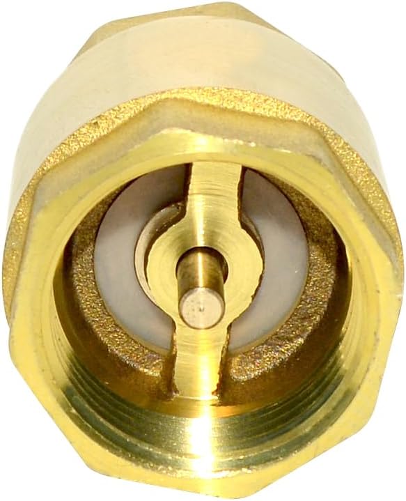 DAN SPEED Brass Check Valve,Female Thread Spring Check Valve,One Way Horizontal Check Valves for Backflow Prevention,Well, Pump, Tank ((DN25) 1'')