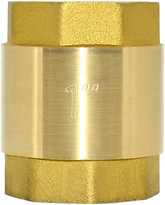 DAN SPEED Brass Check Valve,Female Thread Spring Check Valve,One Way Horizontal Check Valves for Backflow Prevention,Well, Pump, Tank ((DN25) 1'')