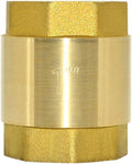DAN SPEED Brass Check Valve,Female Thread Spring Check Valve,One Way Horizontal Check Valves for Backflow Prevention,Well, Pump, Tank ((DN25) 1'')