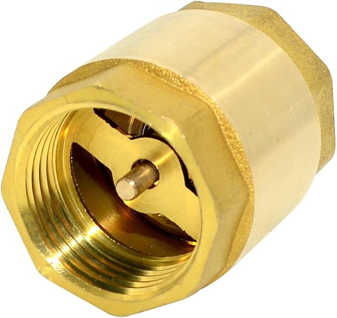 DAN SPEED Brass Check Valve,Female Thread Spring Check Valve,One Way Horizontal Check Valves for Backflow Prevention,Well, Pump, Tank ((DN25) 1'')