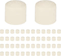 (50 Pack) EFIELD 3/4-inch CPVC Pipe Fittings, End Cap (Socket),(CPVC041-20-50PCS)