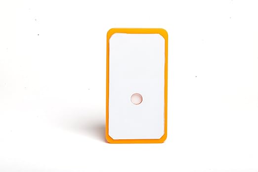 Floor Sentry by Wagner Meters - Smart Embedded Wood Floor Sensor – Moisture and Temperature Monitoring for Long-Term Floor Health