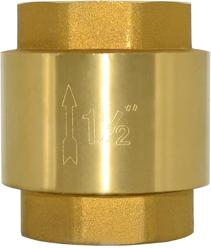 DAN SPEED Brass Check Valve,Female Thread Spring Check Valve,One Way Horizontal Check Valves for Backflow Prevention,Well, Pump, Tank ((DN40) 1-1/2'')