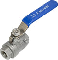 316 Stainless Steel 1/8"~3" Full Port Ball Valve with Blue Vinyl Handle, NPT Female x Female Thread,1000 WOG (1/4")