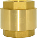 DAN SPEED Brass Check Valve,Female Thread Spring Check Valve,One Way Horizontal Check Valves for Backflow Prevention,Well, Pump, Tank ((DN50) 2'')