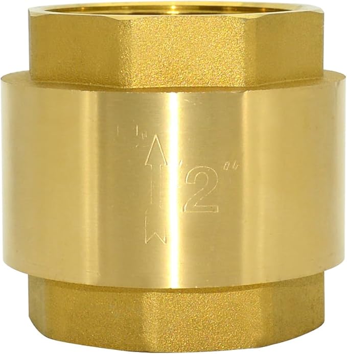 DAN SPEED Brass Check Valve,Female Thread Spring Check Valve,One Way Horizontal Check Valves for Backflow Prevention,Well, Pump, Tank ((DN50) 2'')