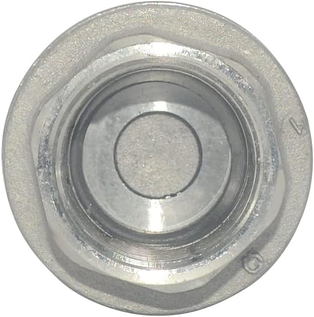 3/4" NPT Female WOG1000 Check Valve,Spring Loaded In-line Low Cracking Pressure,Stainless Steel SS316 CF8M